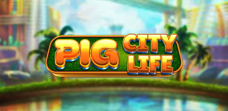 Pig City Life in TopExclusive