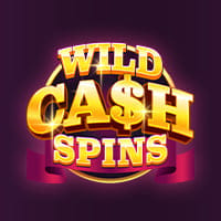 Wild Cash Spins in sub_diceslots
