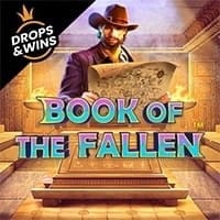Book of the Fallen in sub_dropsandwins