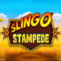 Slingo Stampede in bb_popular